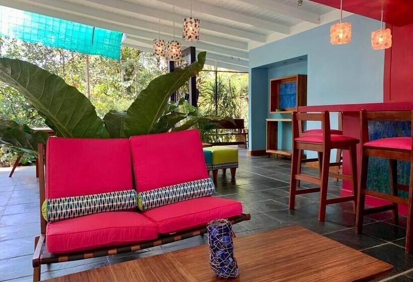 فندق Chirripo Art