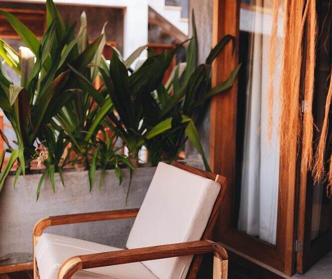 Naked Hotel Zipolite