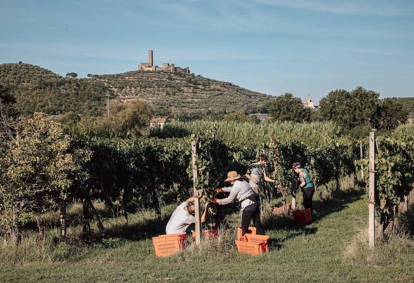 مبيت وإفطار Agriturismo La Pievuccia