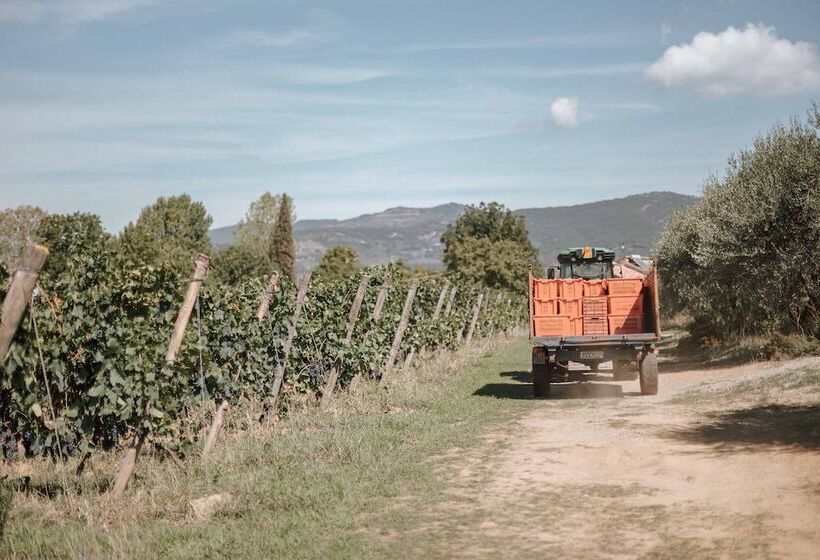 مبيت وإفطار Agriturismo La Pievuccia