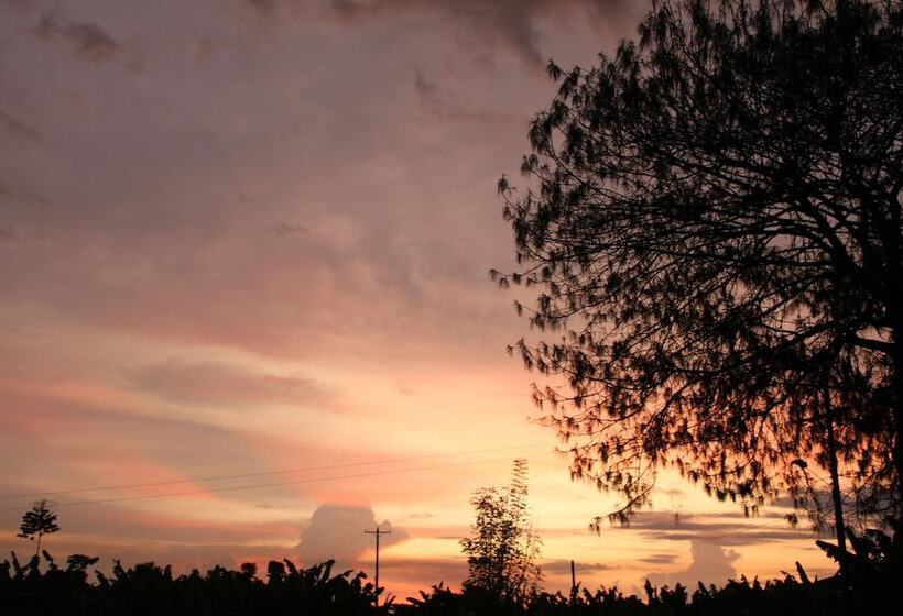 فندق Finca La Colmena De Don Juaco