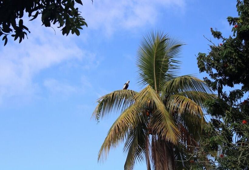 فندق Finca La Colmena De Don Juaco
