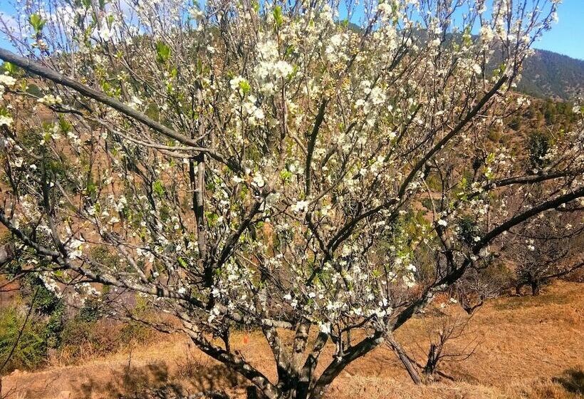 酒店 In Apple Estate Kanatal