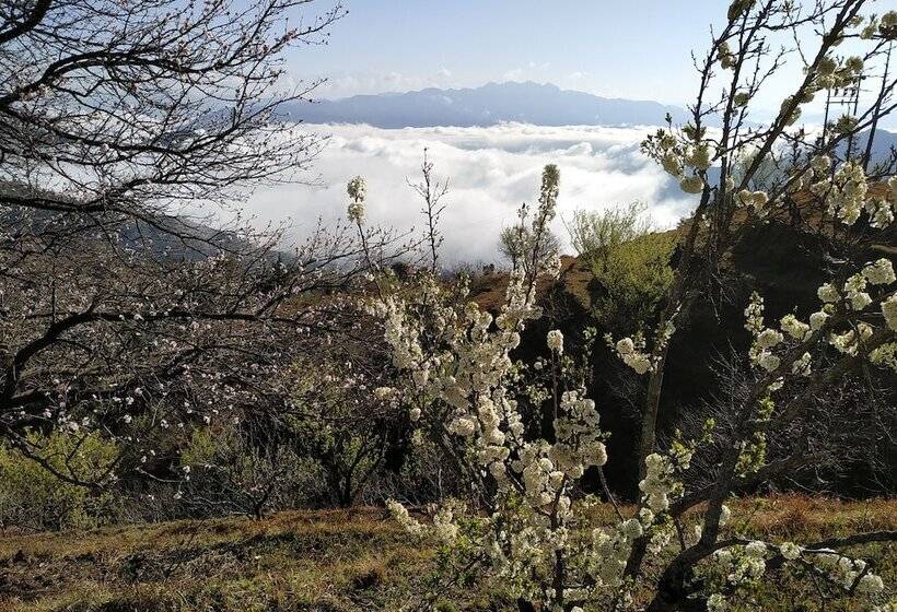 酒店 In Apple Estate Kanatal