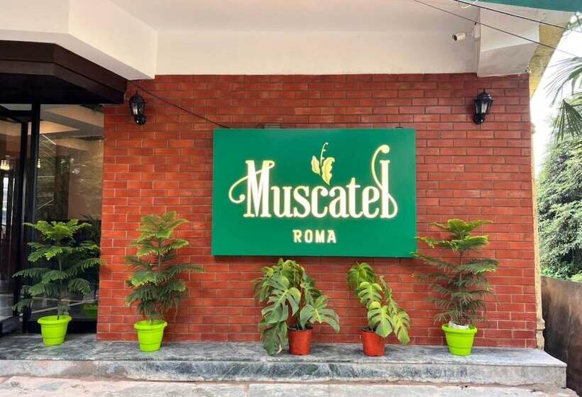 호텔 Muscatel Roma
