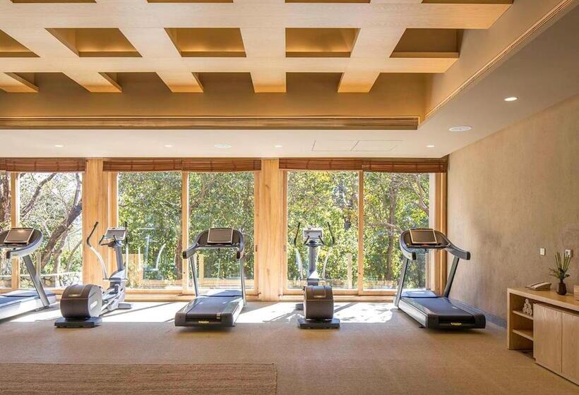 酒店 Six Senses Vana   A Wellness Retreat