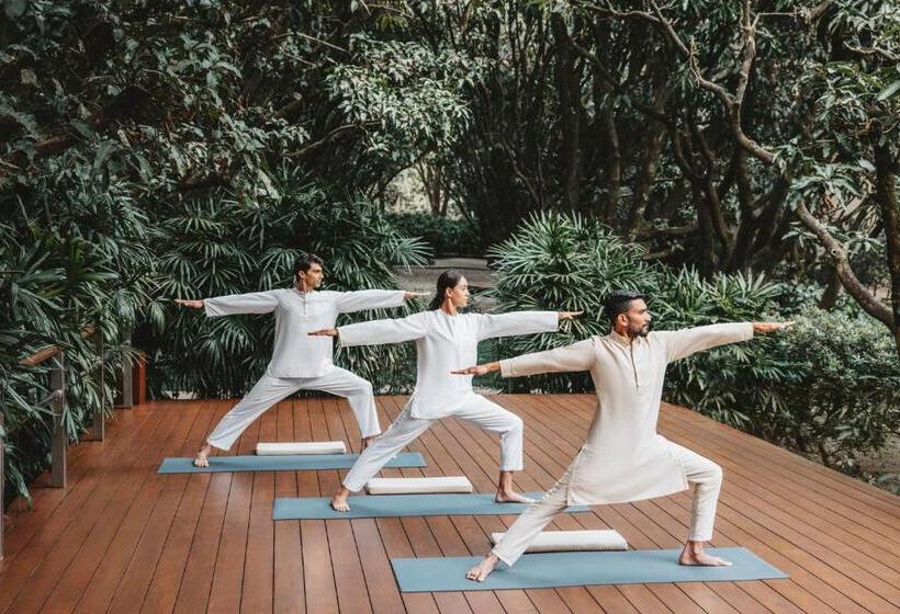 酒店 Six Senses Vana   A Wellness Retreat