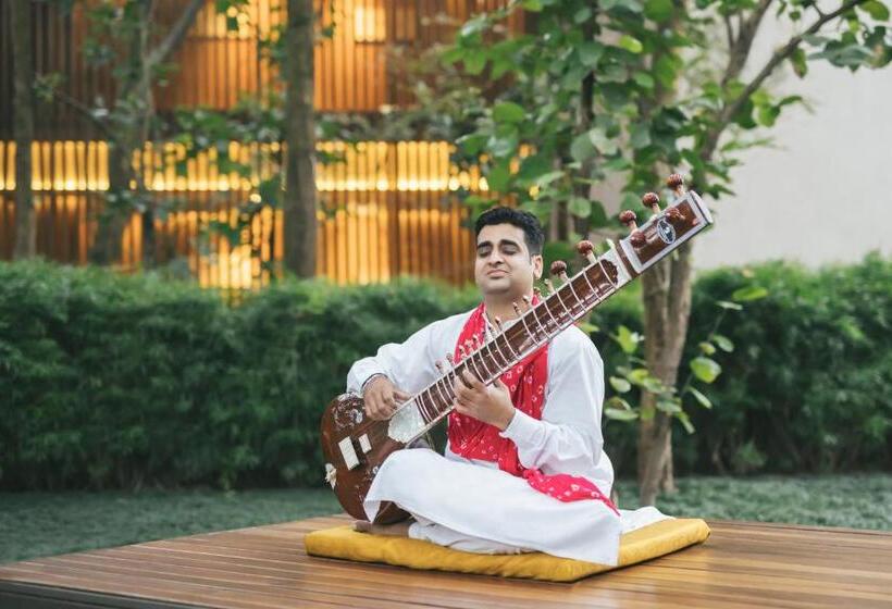 酒店 Six Senses Vana   A Wellness Retreat