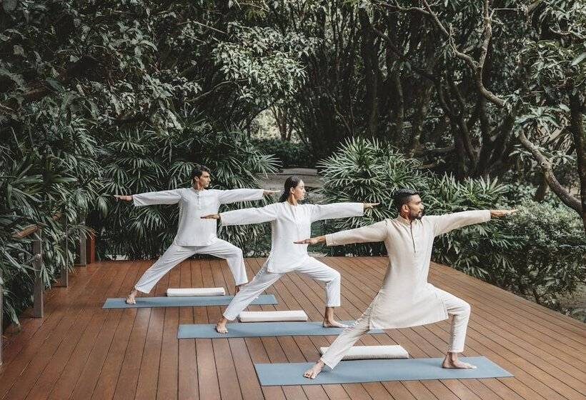 酒店 Six Senses Vana   A Wellness Retreat