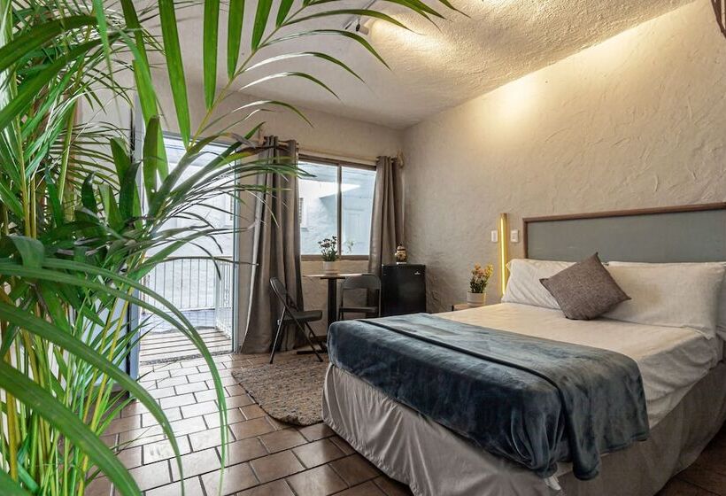 ホテル Soy Local Puerto Vallarta