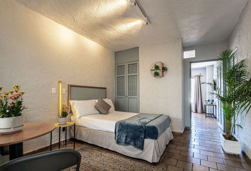 ホテル Soy Local Puerto Vallarta