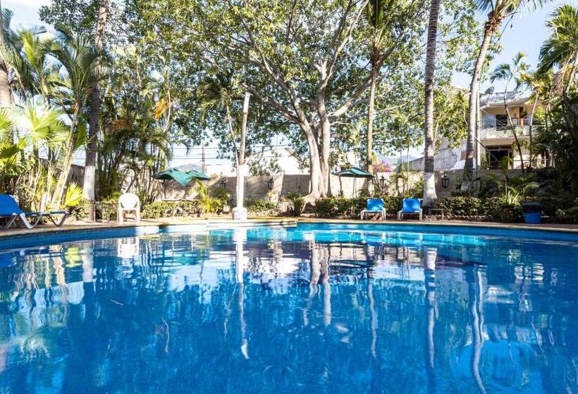 ホテル Soy Local Puerto Vallarta