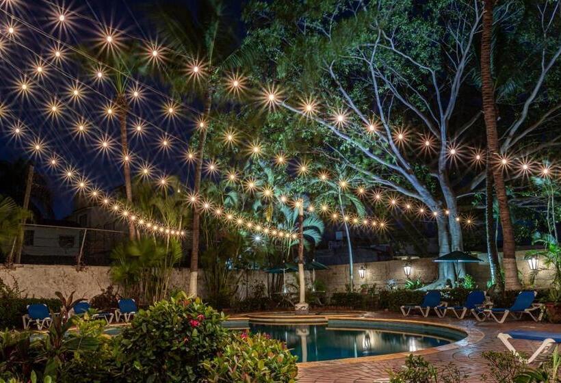 ホテル Soy Local Puerto Vallarta