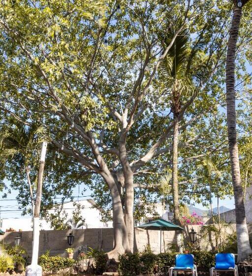 ホテル Soy Local Puerto Vallarta