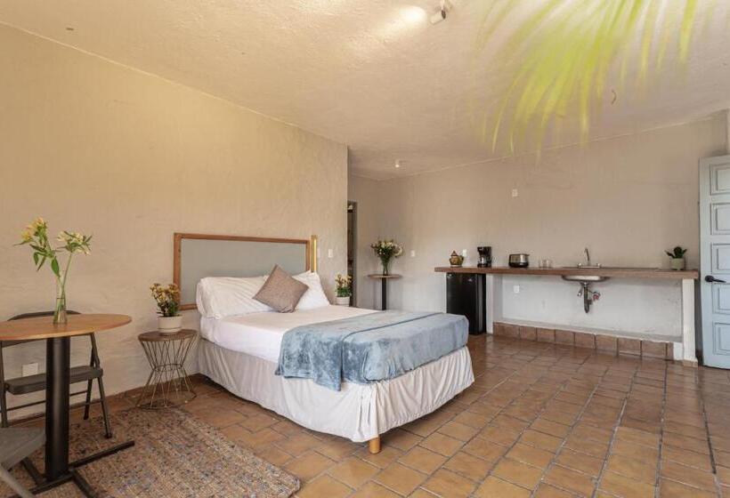 ホテル Soy Local Puerto Vallarta