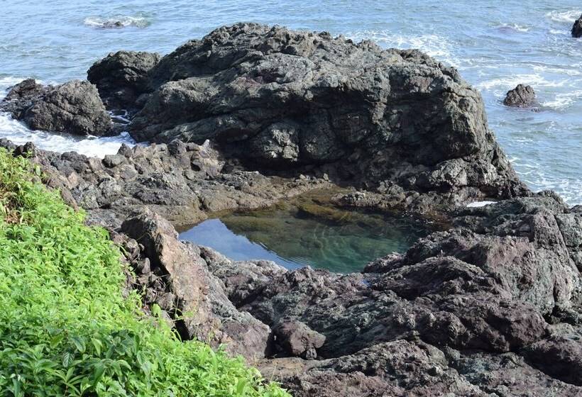 ホテル Drake Paradise Point