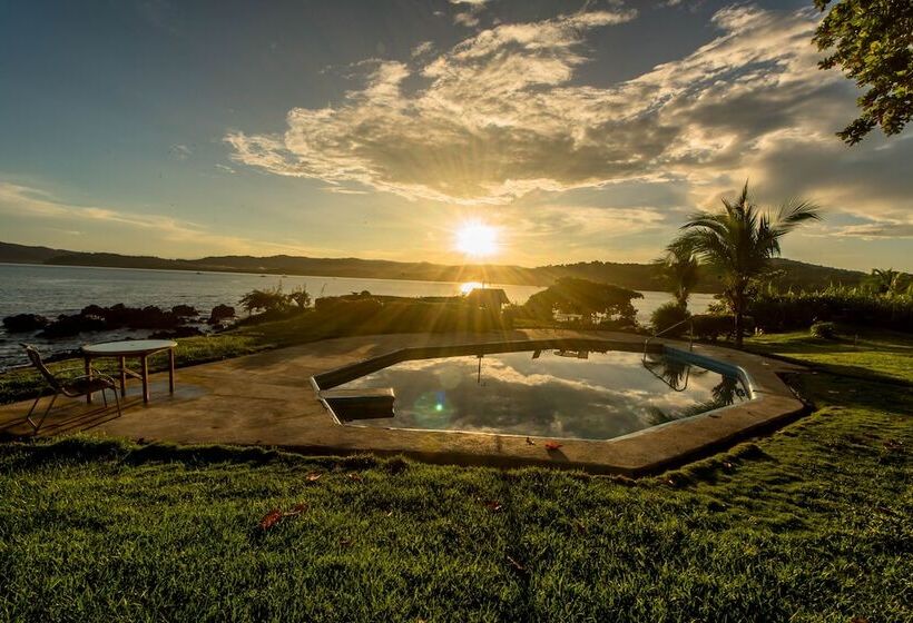 ホテル Drake Paradise Point