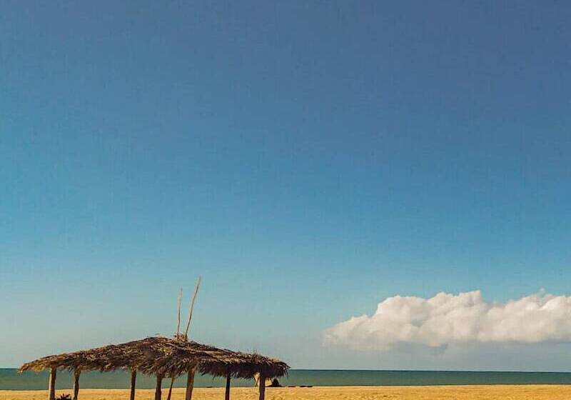 膳宿费 Maravista Guest House