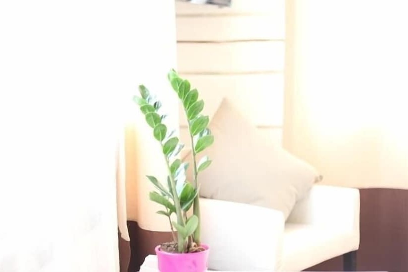 Boutique Hotel Marussia