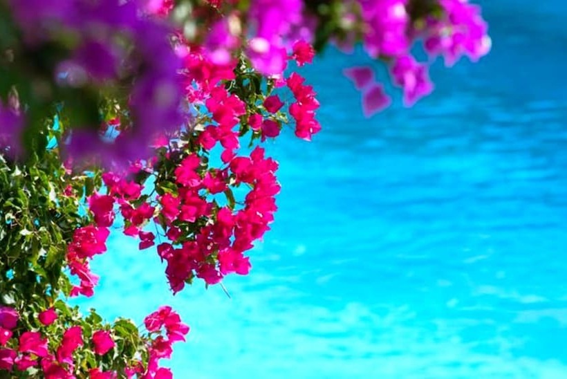 Douka Seafront Residences