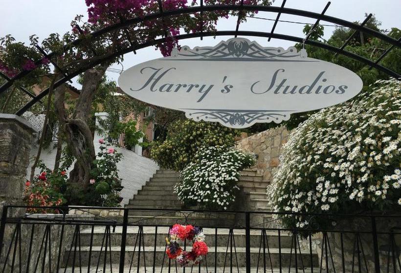 Harry S Studios