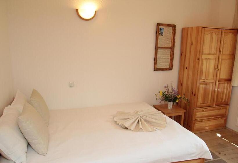 בית מלון כפרי арт комплекс горски дом трявна