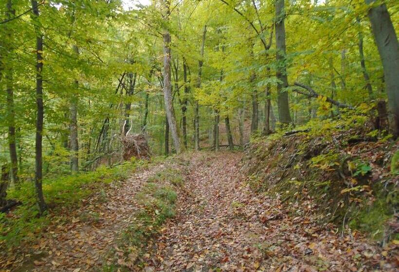 בית מלון כפרי арт комплекс горски дом трявна