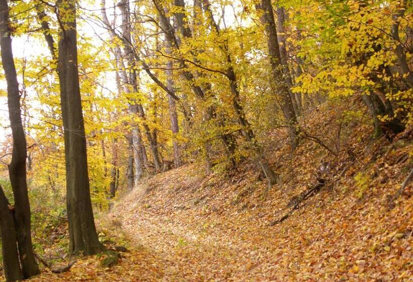 בית מלון כפרי арт комплекс горски дом трявна