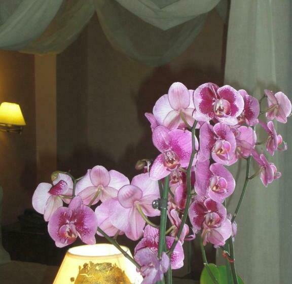 בית מלון כפרי Anastazia