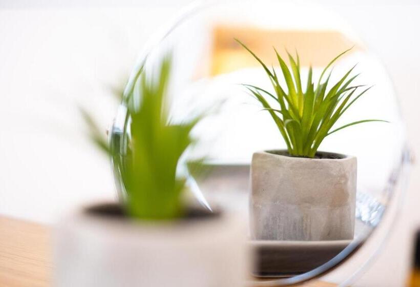 בית מלון כפרי City Loft