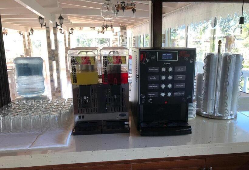 בית מלון כפרי Diaporos