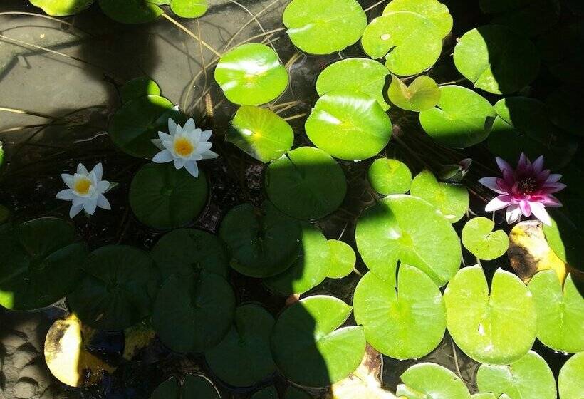 Отель Filoxenia Sea & View