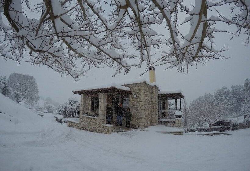 ホテル Finday Eco Boutique