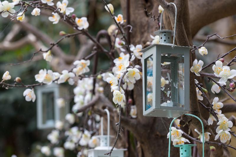 בית מלון כפרי Galini Mare