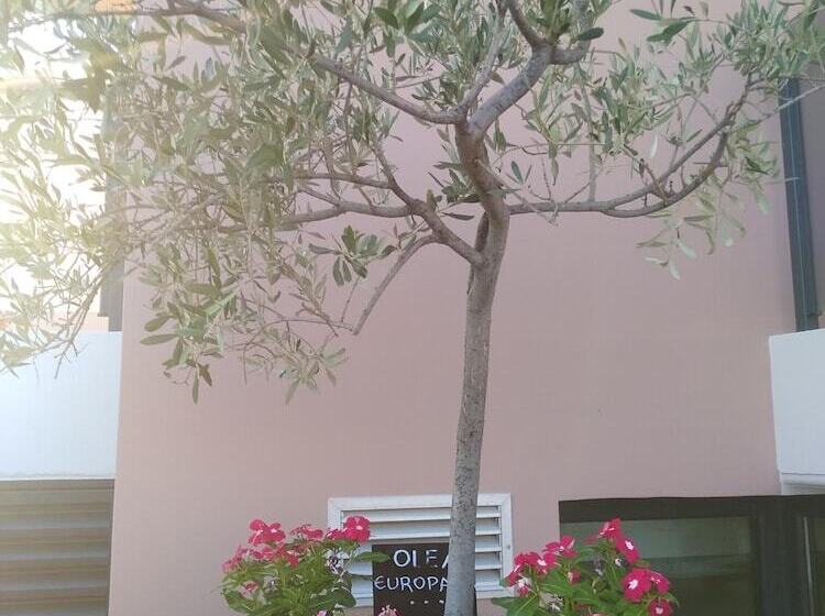 בית מלון כפרי Harmony Rooms Nafplio