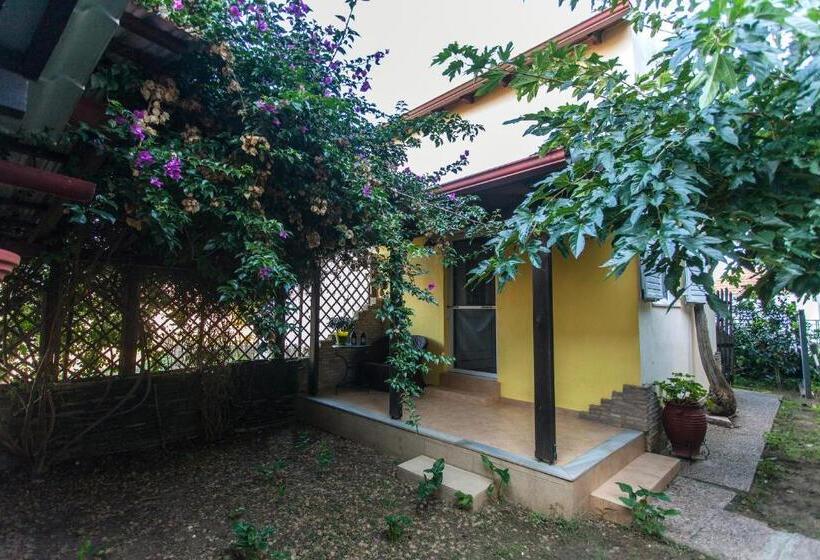 בית מלון כפרי Ionio Gastronomy Suites