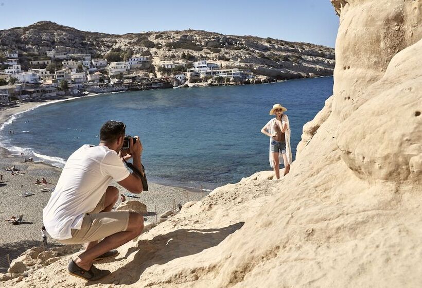 בית מלון כפרי Olive Green