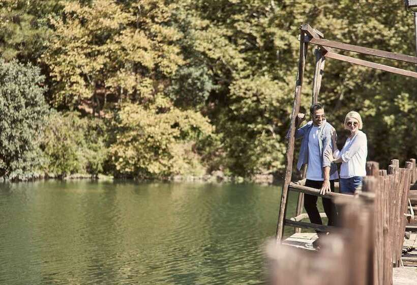 בית מלון כפרי Olive Green