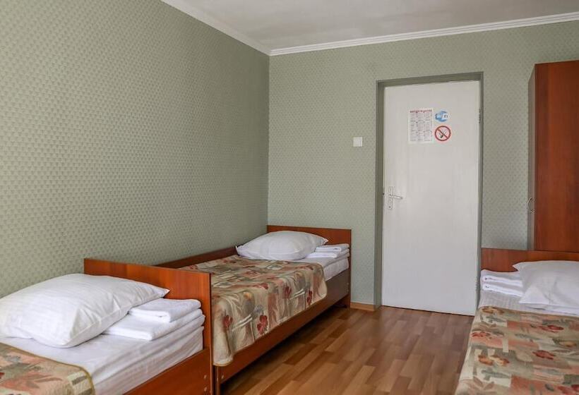 בית מלון כפרי Ostrovok