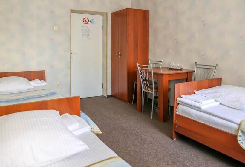 בית מלון כפרי Ostrovok