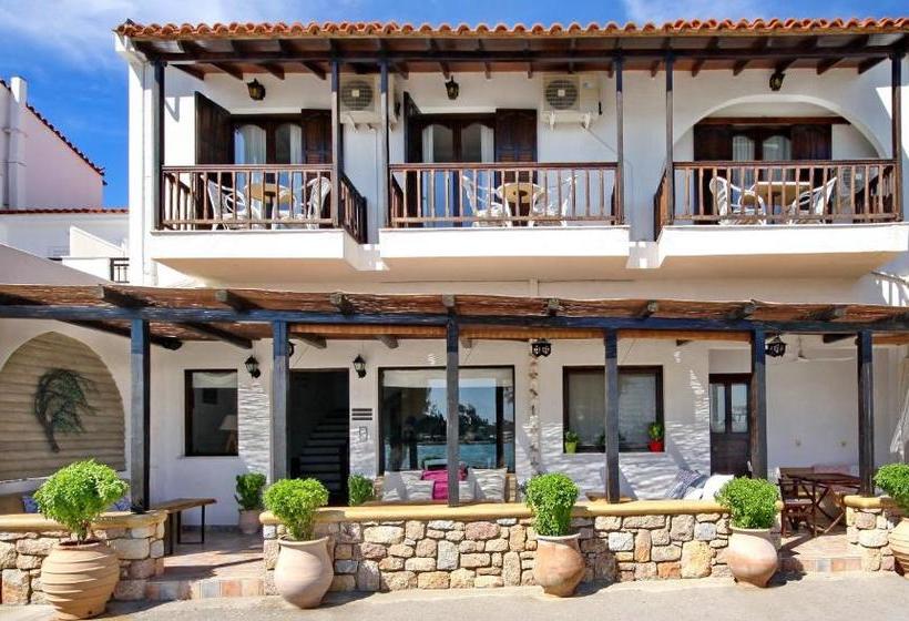 酒店 Pallas Pension