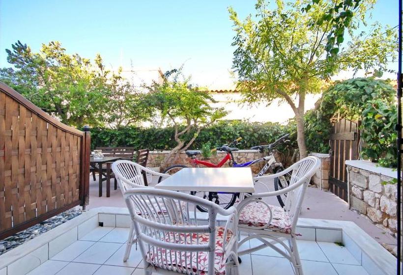 酒店 Pallas Pension