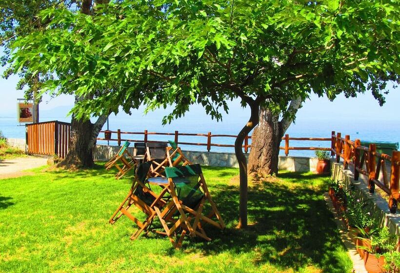 호텔 Pandora Studios