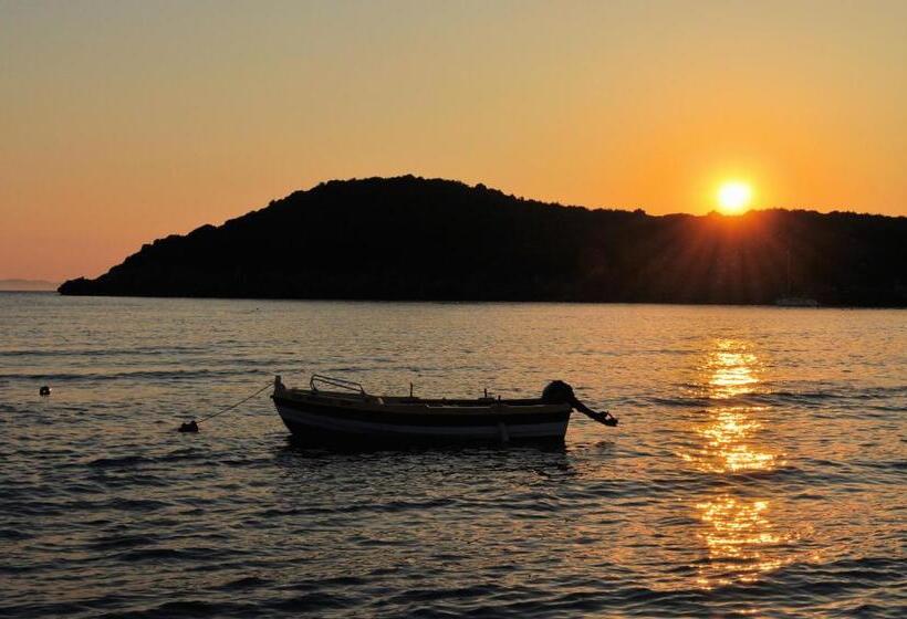 בית מלון כפרי Panorama