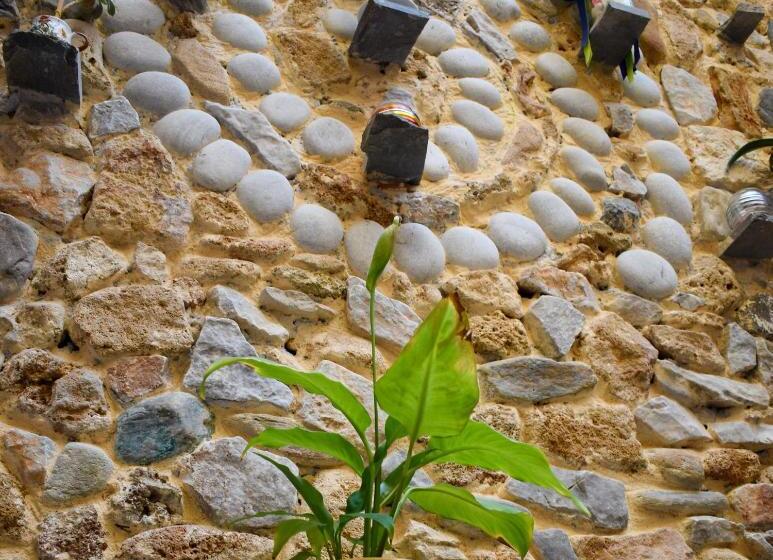 호텔 Poco Loco Bed & Breakfast