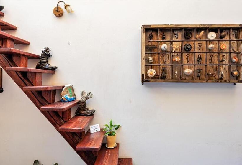 호텔 Poco Loco Bed & Breakfast