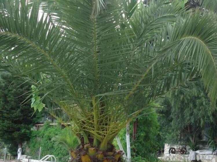 ホテル Poros Beach