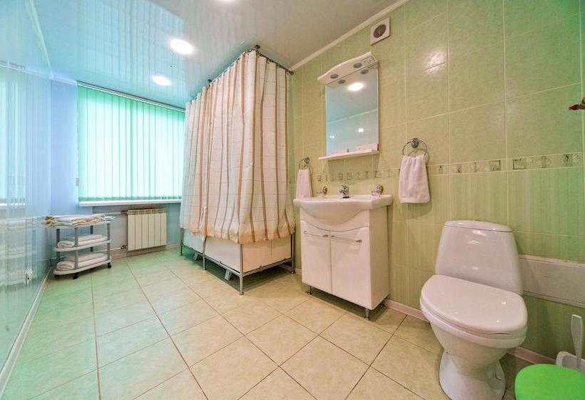 בית מלון כפרי Shvedka