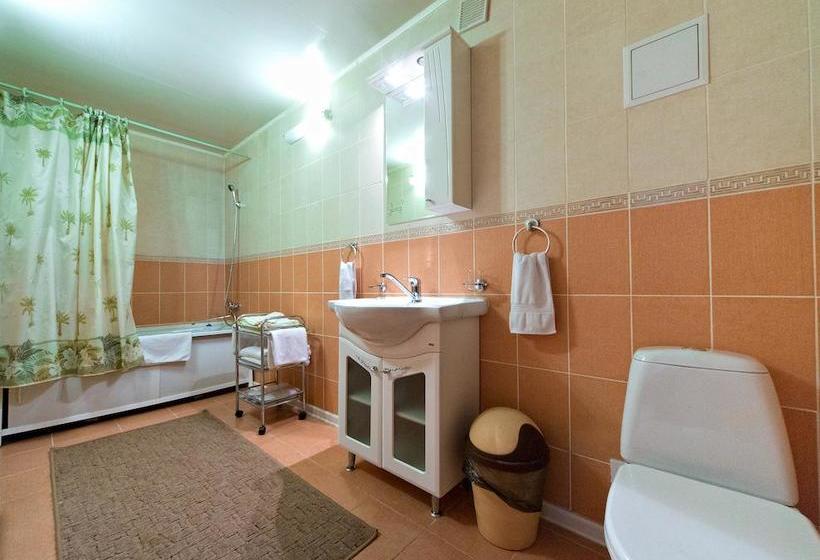 בית מלון כפרי Shvedka