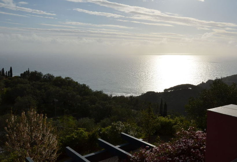 ホテル Steven's On The Hill